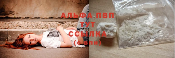 гидра Приозерск