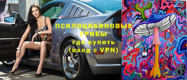 гидра Приозерск