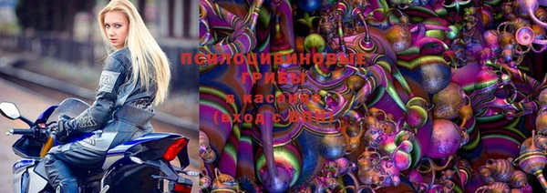гидра Приозерск