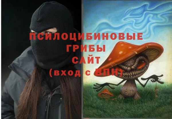 гидра Приозерск