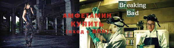ГАЛЛЮЦИНОГЕННЫЕ ГРИБЫ Рославль